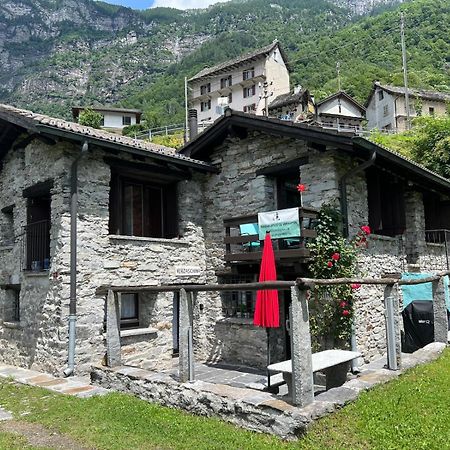 Rustico Efrina, Neu Renoviert Villa Frasco Ngoại thất bức ảnh